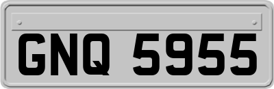GNQ5955