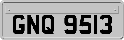 GNQ9513