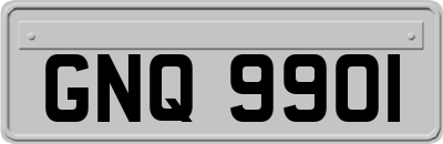 GNQ9901