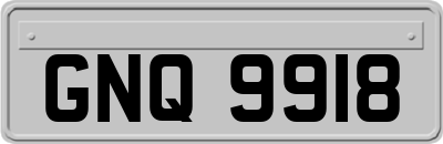 GNQ9918