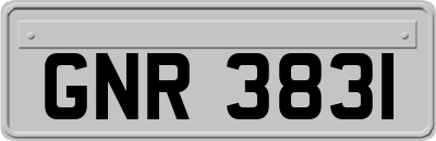 GNR3831