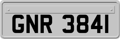 GNR3841
