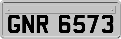 GNR6573