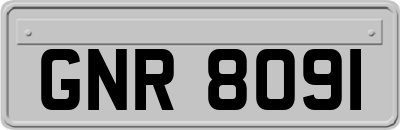 GNR8091