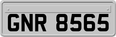 GNR8565