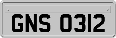 GNS0312