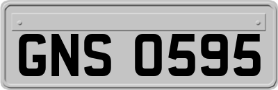 GNS0595
