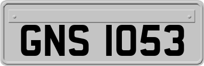 GNS1053