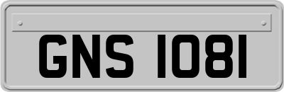 GNS1081