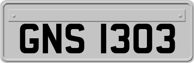 GNS1303