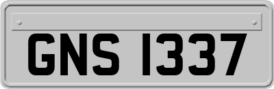 GNS1337