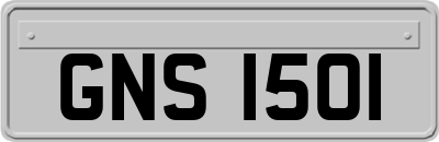 GNS1501