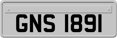 GNS1891