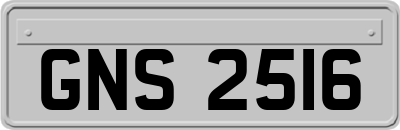 GNS2516