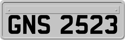 GNS2523