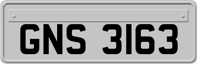GNS3163