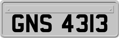 GNS4313