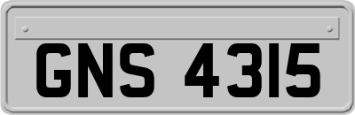 GNS4315