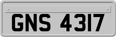 GNS4317