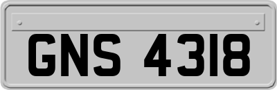 GNS4318