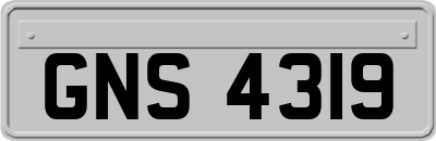 GNS4319