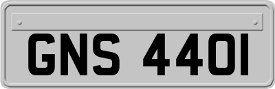 GNS4401