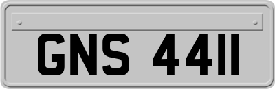 GNS4411