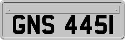 GNS4451