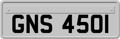 GNS4501