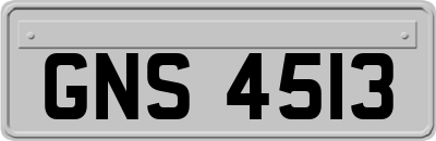 GNS4513