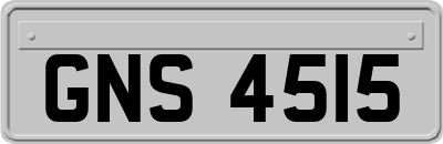 GNS4515