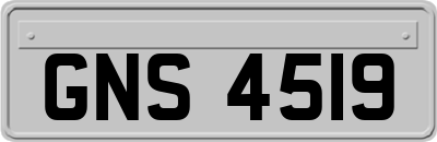 GNS4519