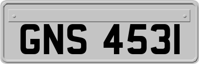 GNS4531