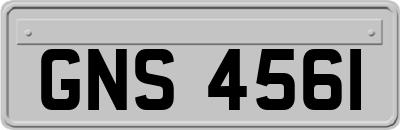 GNS4561