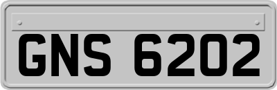 GNS6202
