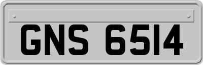 GNS6514