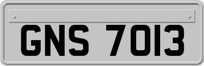 GNS7013