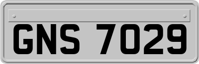 GNS7029