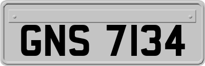 GNS7134