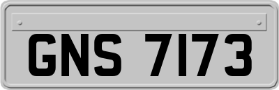 GNS7173