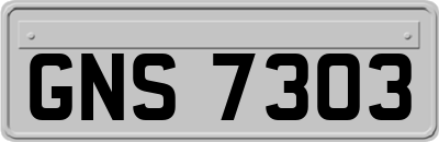 GNS7303