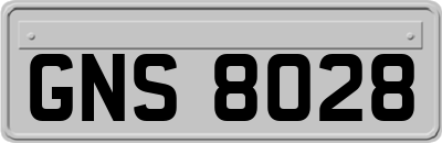 GNS8028