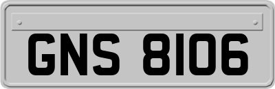 GNS8106