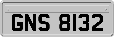 GNS8132