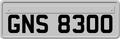 GNS8300