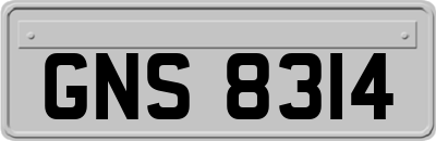 GNS8314