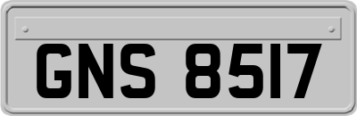 GNS8517