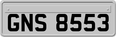 GNS8553