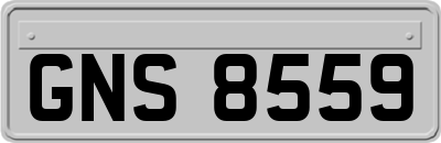 GNS8559