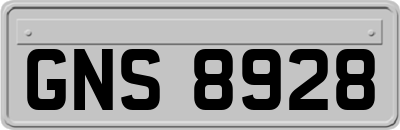 GNS8928